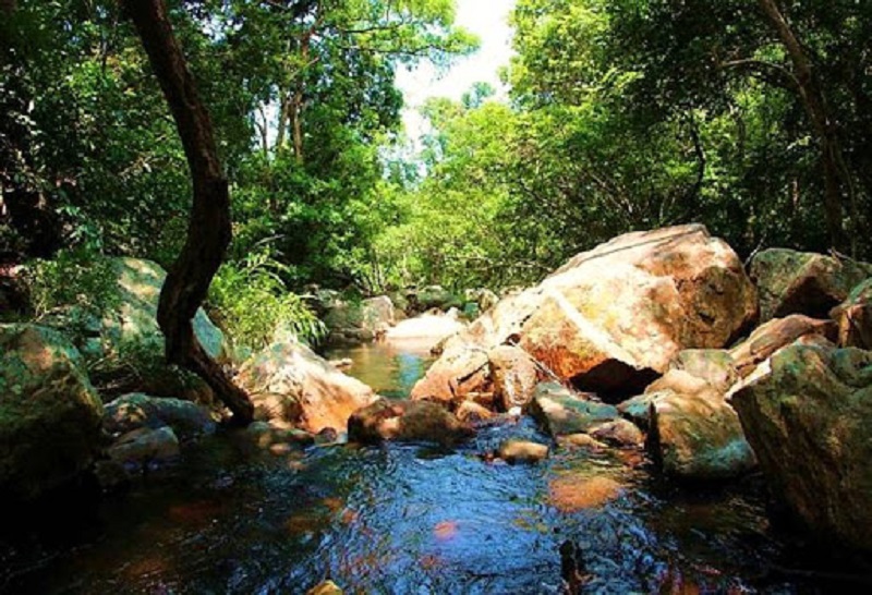Suối Lồ Ồ ở Vĩnh Hy Ninh Thuận: Kinh nghiệm tham quan ngắm cảnh A-Z