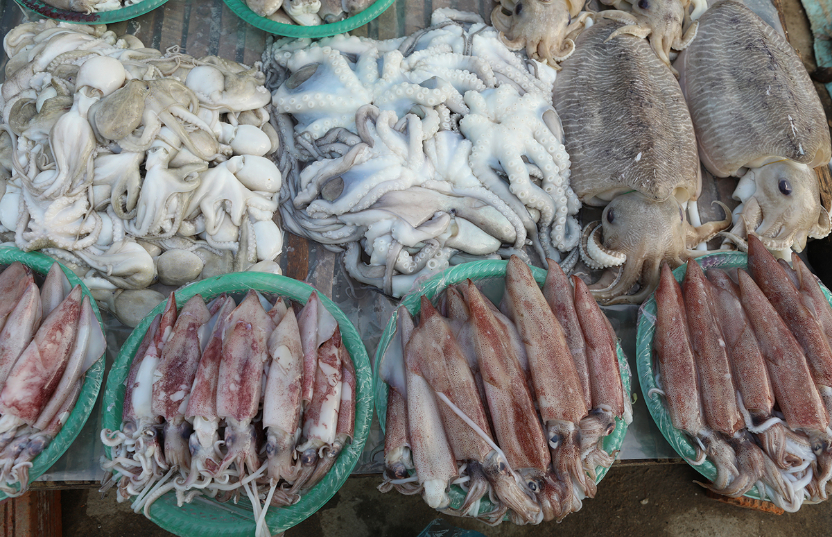 Chợ hải sản Đầm Nại: Kinh nghiệm tham quan mua hải sản làm quà biếu